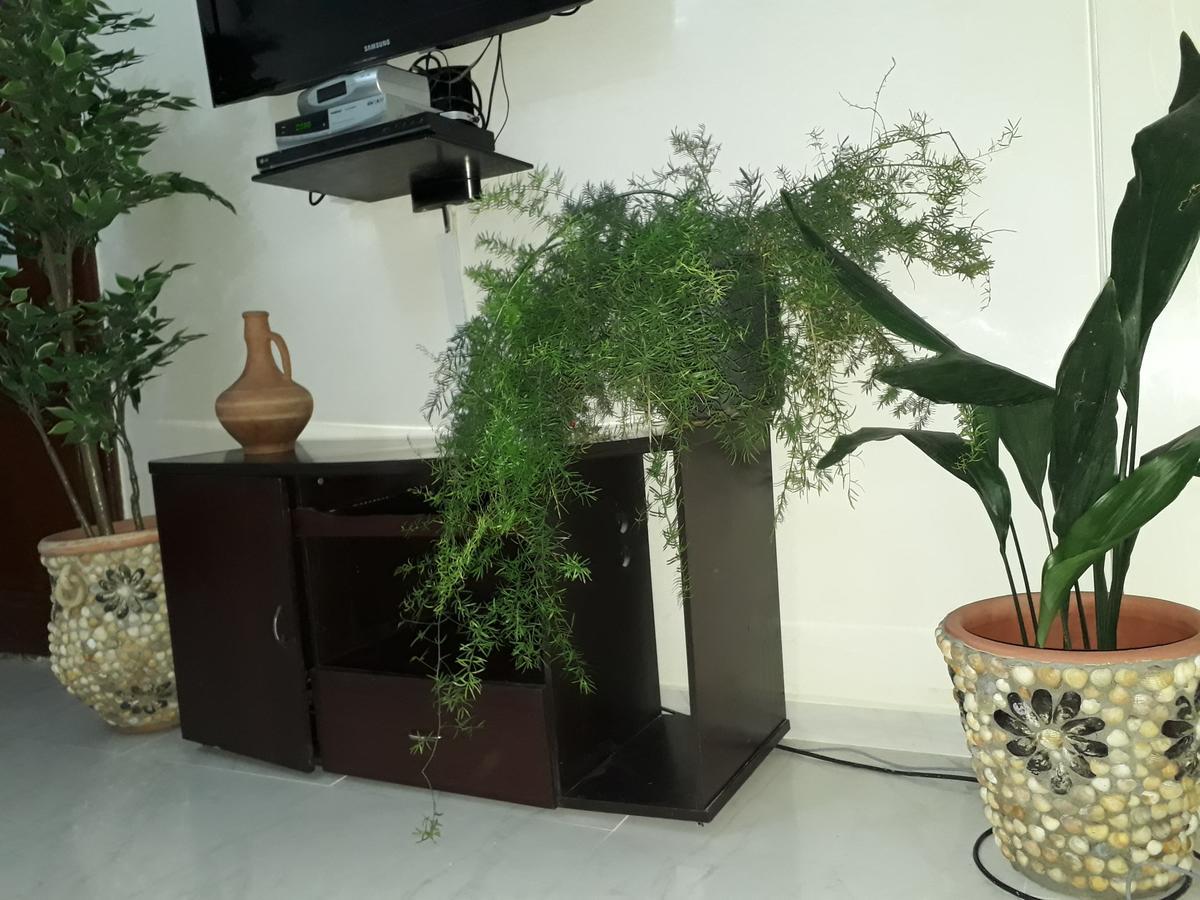 Train Station Apartment Casa Voyageur 卡萨布兰卡 外观 照片